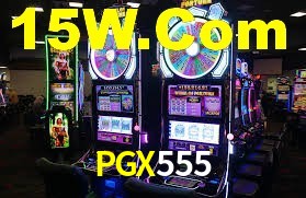 Programa VIP PGX555