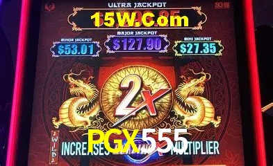 Secure Login PGX555